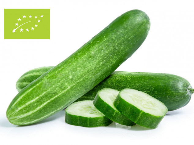 cucumber bio