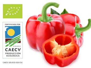 pimiento rojo bio